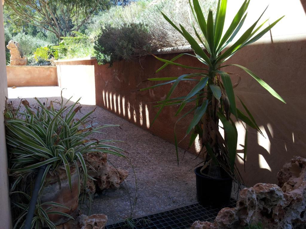 Agroturisme Es Picot Son Macia  Rum bild